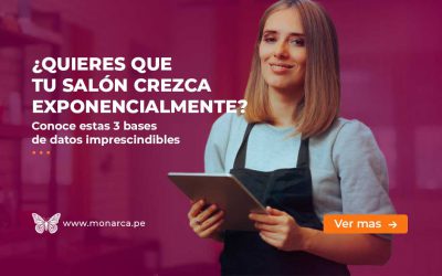 Secretos de Éxito: 3 Bases de Datos que harán crecer tu Salón exponencialmente