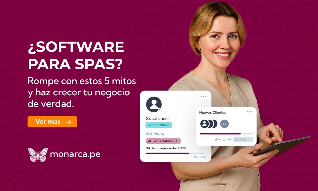 blog-software-para-spa