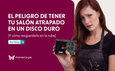 El peligro de tener tu Salón atrapado en un disco duro (Y cómo blindarlo en la nube)